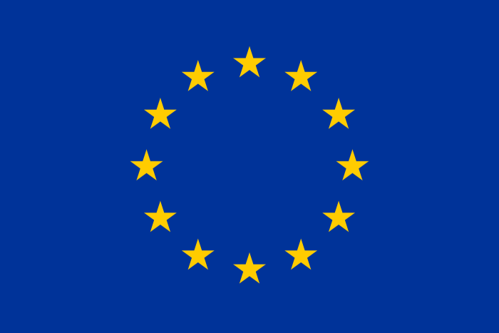 EU flag - twelve gold stars arranged in a circle on an azure background.