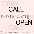 Text graphic advertising the Octopus programme open call.