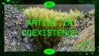 Close up photo of moss with the text 'Artist in coexistence'.