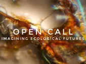 A graphic with the text 'Open call: imagining ecological futures'.