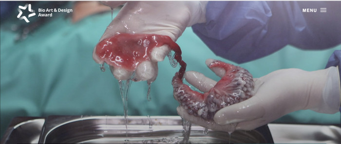A person wearing surgeon's gloves holds up a chunk of organic material dripping water and other fluids.