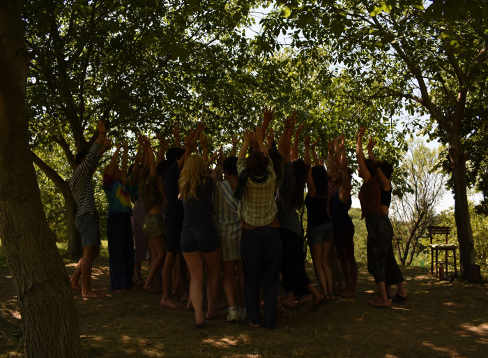 A group of young people in a forest cluster together all holding their hands in the air - some kind of exercise.