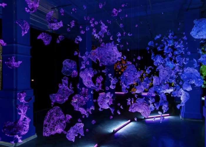 Purple, blob-like shapes in a dark space. 