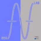 A zigzagging line moves between the words 'Reg' (regional) and 'Lab' via the phrase 'Mentorship Programme'.