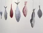 Fish of various shapes and colours are hung from their tails, looking like a child's mobile.