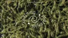 Title of the call on green, textured background. 