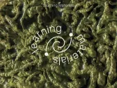 Title of the call on green, textured background. 
