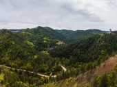 Wooded hills with a dirt road running through them. 