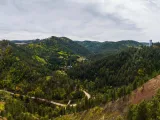 Wooded hills with a dirt road running through them. 